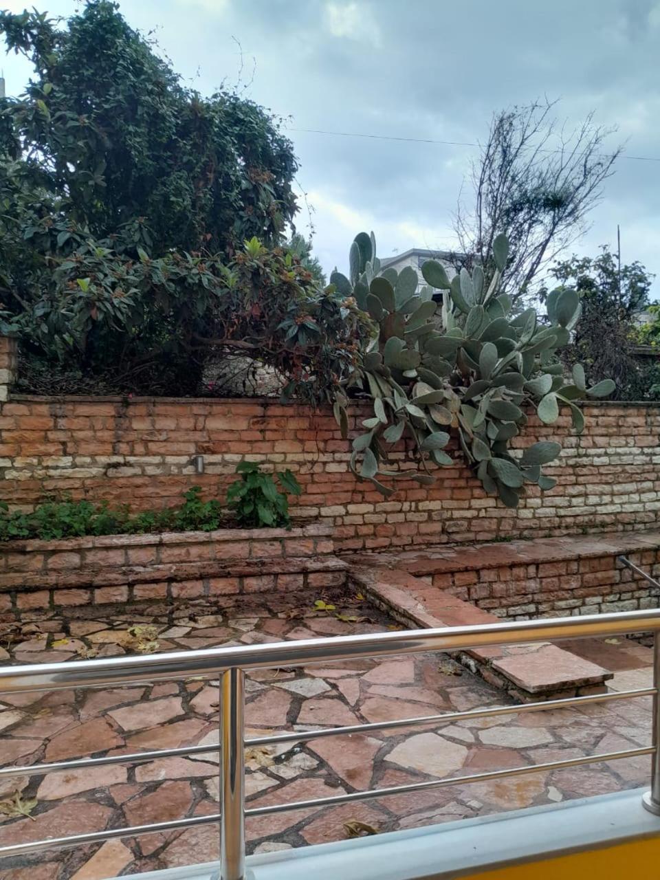 Vila Lida Σαράντα Εξωτερικό φωτογραφία
